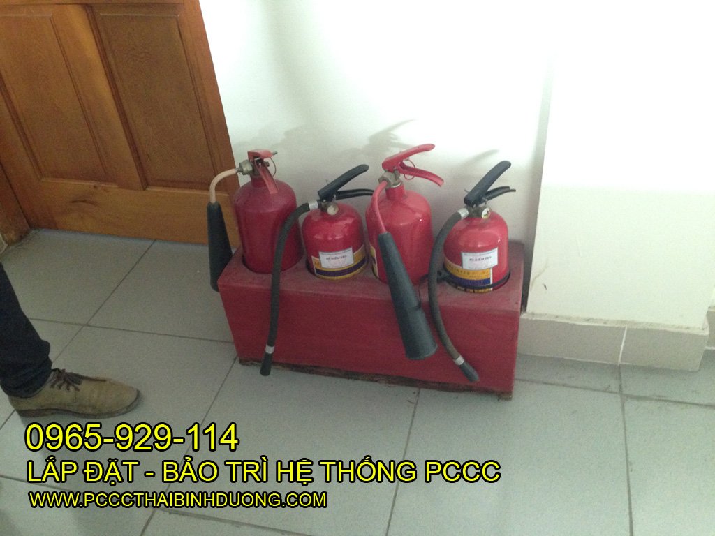 IMG_0218 copy