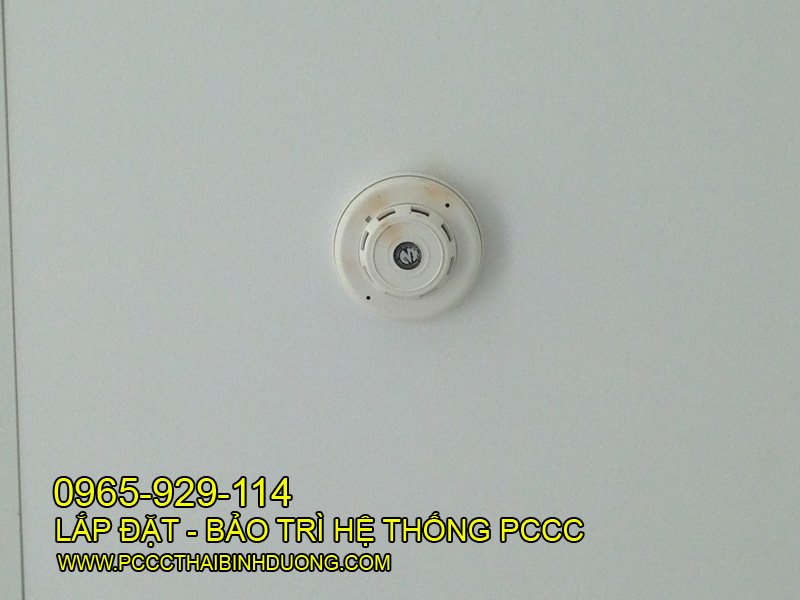 Đầu báo cháy khói - được lắp đặt dưới trần giả